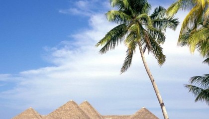 THPX信号源：WTIBTC智能化交易信号的领先者