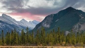 THPX信号源引领WTIBTC智能交易革新,探索高效投资新路径