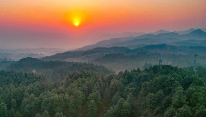 THPX信号源:WTIBTC信号技术升级引领原油交易新时代