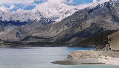 THPX信号源:WTIBTC交易中的智能信号优势