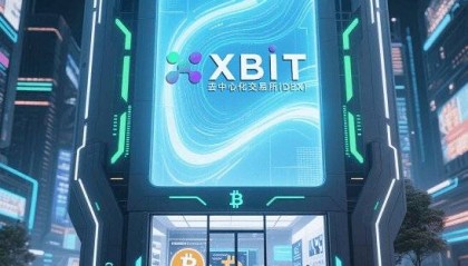 机构加密货币热潮与稳定币交易平台 XBIT多链生态市场最新机遇
