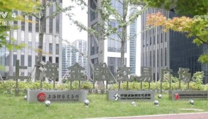 上交所“指定交易”新规出炉 新股民交易更便捷、更高效