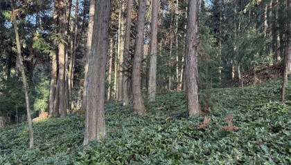 湖北省首单水土保持生态产品价值转化交易落地