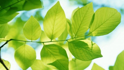 见过世面的人,大多都喜欢三个“痛点”