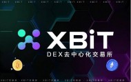 BNB Chain交易费超越Solana，XBIT交易所助力Meme币生态发展