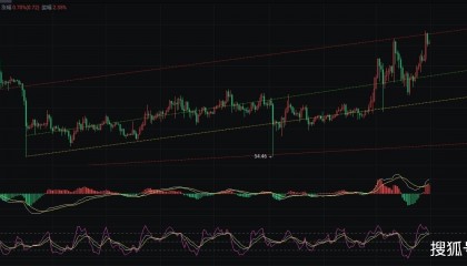 3.31币圈院士谈莱特币走势