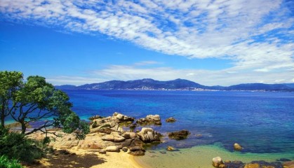 NCE外汇在数字货币交易领域的潜力与发展