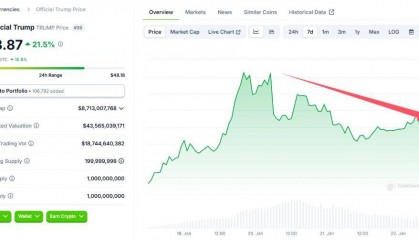 镰刀收割?就职日后,特朗普“股币大跌”,而赢家早已赚满离场