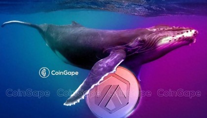 币圈：5 只加密鲸鱼积极积累 PEPE、LINK 等