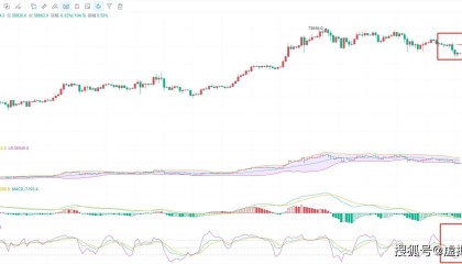 5.3币圈院士:比特币最新行情解读,带你深入剖析涨跌规律,把握市场机会