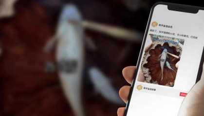 效仿短剧,知乎短文“土味”出圈