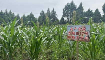 一张“托底网” 帮得准、托得稳