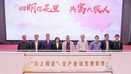 打通全链发展 共赴“云上樱花”