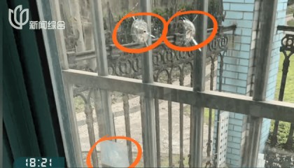 叶某(60岁)已被刑拘!监控曝光…网友怒斥如此行径太恶劣