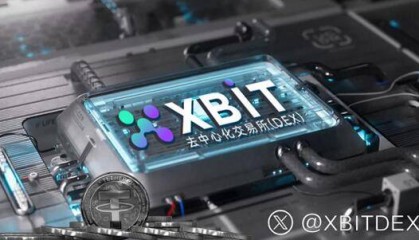 首页/经济论坛1 SUI杠杆交易平台新格局,XBIT数据解析美政策影响币市