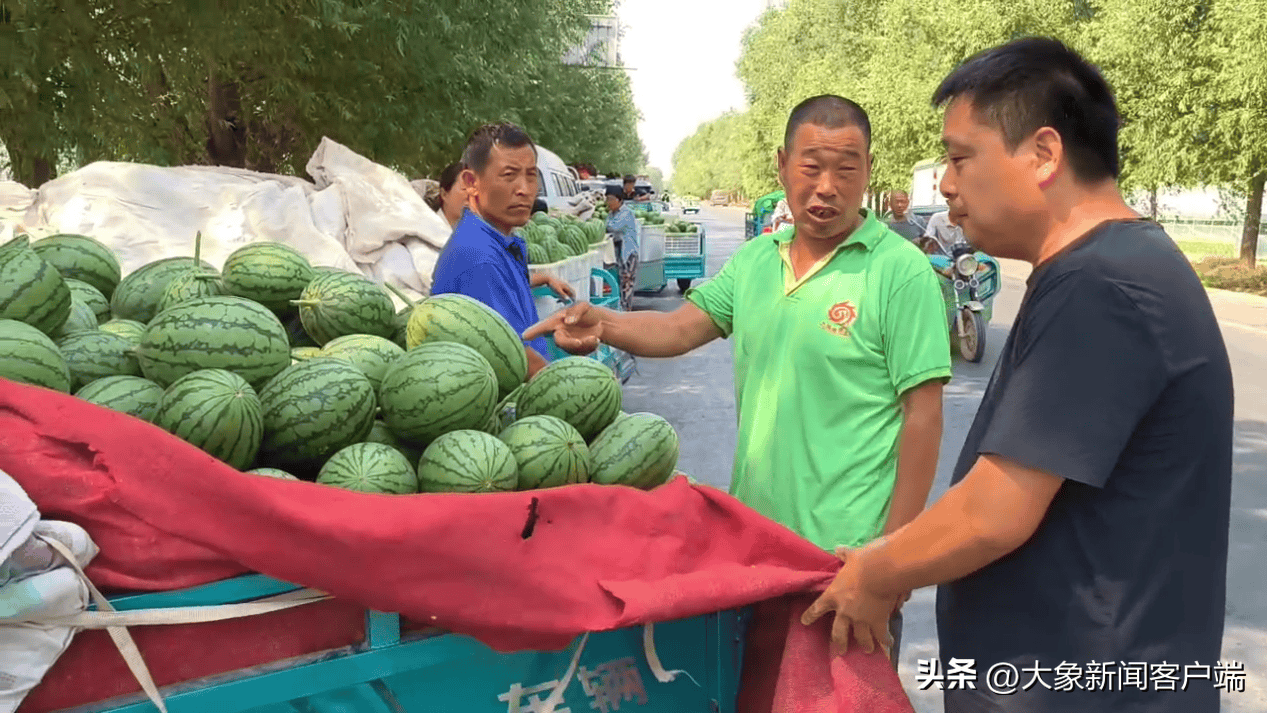 网传西瓜价格“跳水”？记者实探郑州西瓜批发集散地丨大象帮