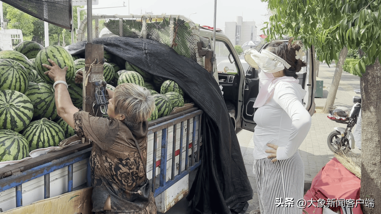 网传西瓜价格“跳水”？记者实探郑州西瓜批发集散地丨大象帮