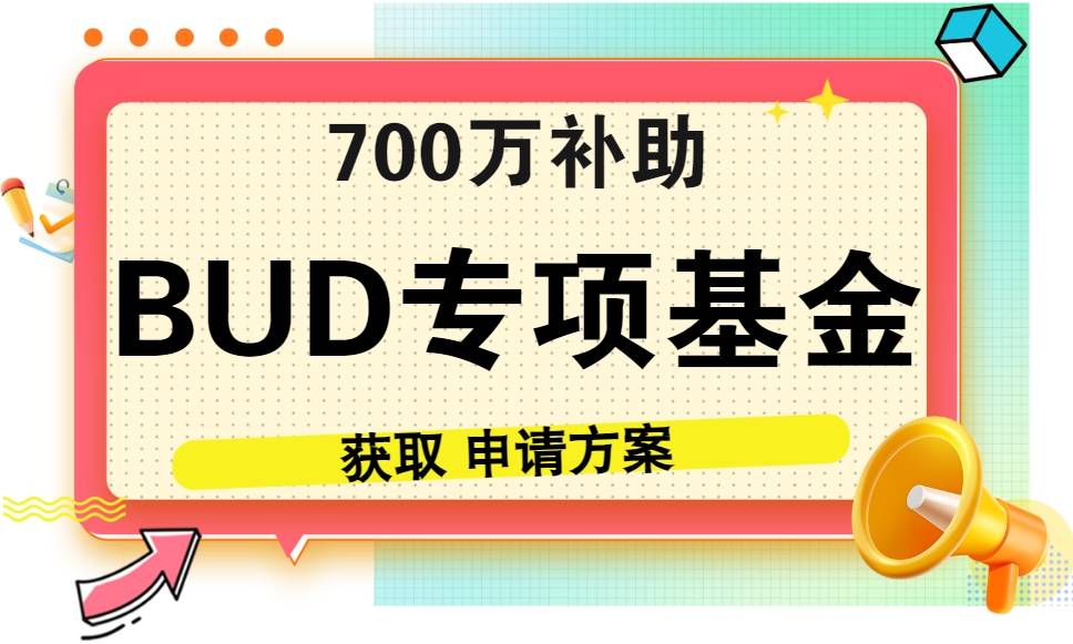 香港BUD的申报痛点有哪些？