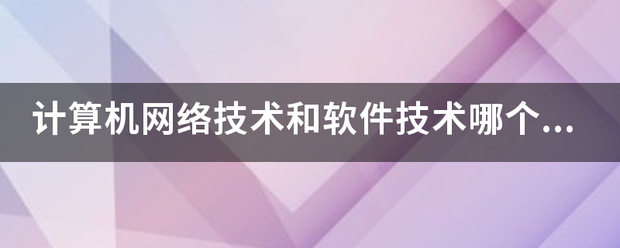 计算机网络技术和软件技术哪个好？