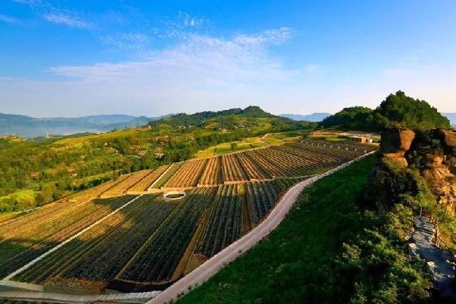 四川首单水土保持生态产品价值转化交易达成