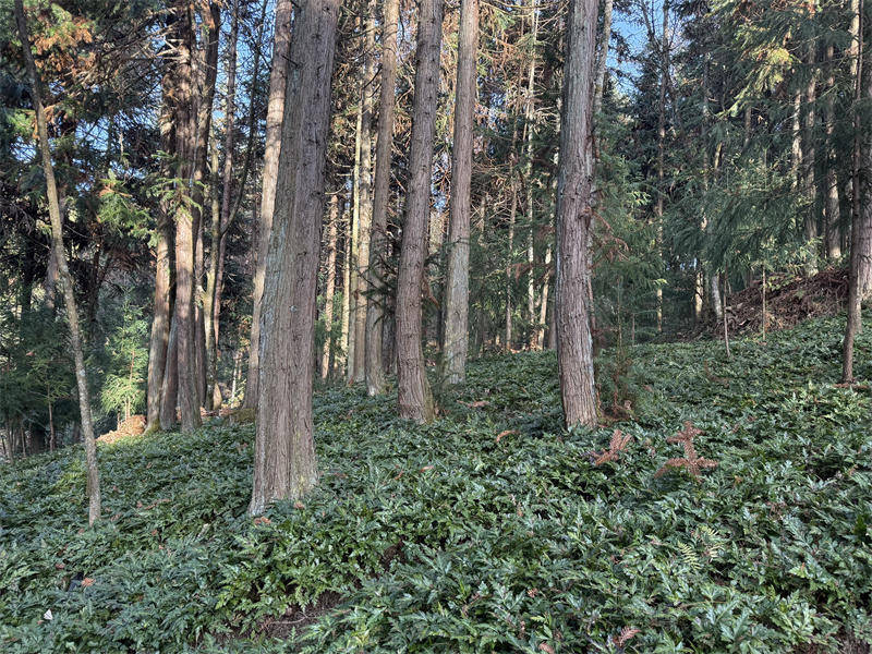 湖北省首单水土保持生态产品价值转化交易落地