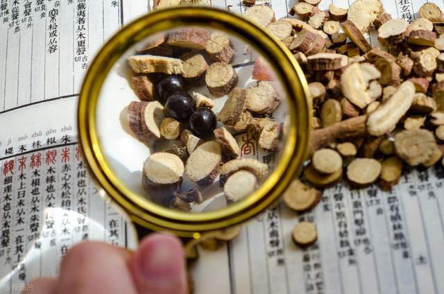 2025中国药都·樟树第56届全国药材药品交易会|2026药交会-官网